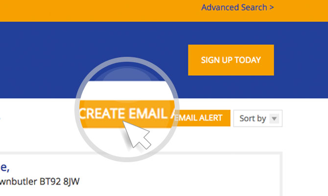Create an Email Alert